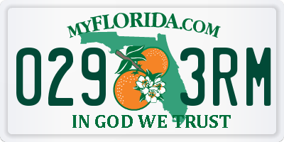FL license plate 0293RM