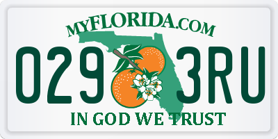 FL license plate 0293RU