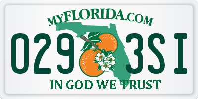 FL license plate 0293SI