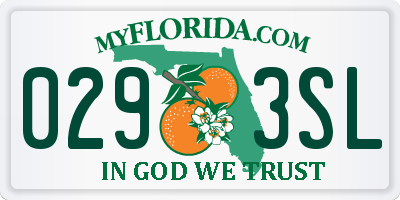 FL license plate 0293SL