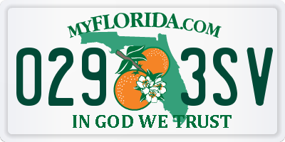 FL license plate 0293SV