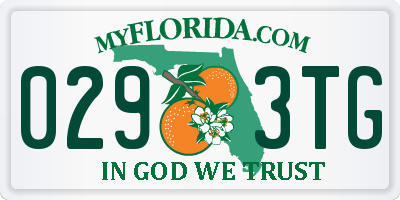 FL license plate 0293TG