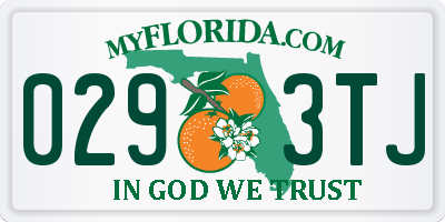 FL license plate 0293TJ