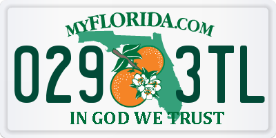 FL license plate 0293TL