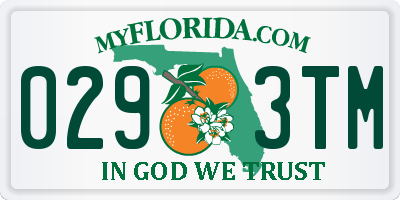 FL license plate 0293TM