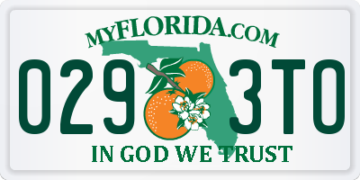 FL license plate 0293TO