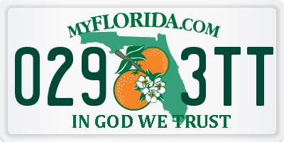 FL license plate 0293TT