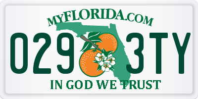 FL license plate 0293TY