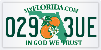 FL license plate 0293UE