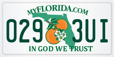 FL license plate 0293UI