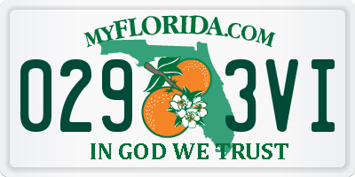 FL license plate 0293VI