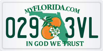 FL license plate 0293VL
