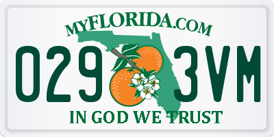 FL license plate 0293VM