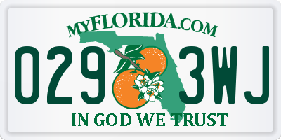 FL license plate 0293WJ