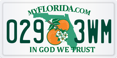 FL license plate 0293WM
