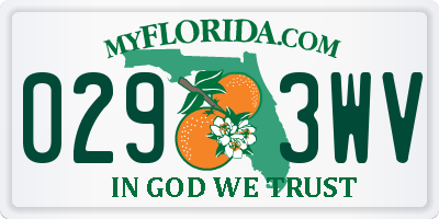 FL license plate 0293WV