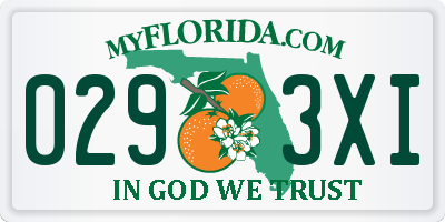 FL license plate 0293XI