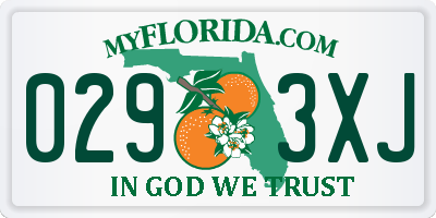 FL license plate 0293XJ