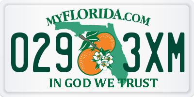 FL license plate 0293XM