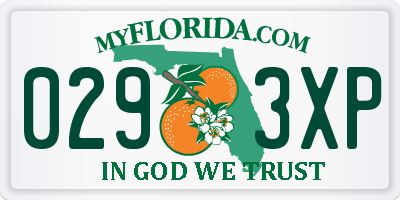 FL license plate 0293XP