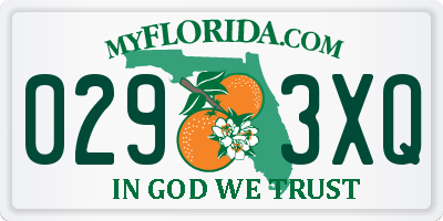 FL license plate 0293XQ