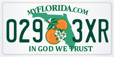 FL license plate 0293XR