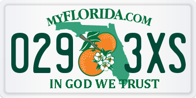 FL license plate 0293XS