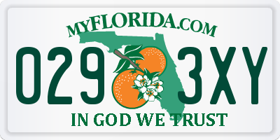 FL license plate 0293XY