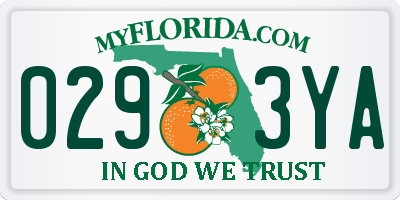 FL license plate 0293YA