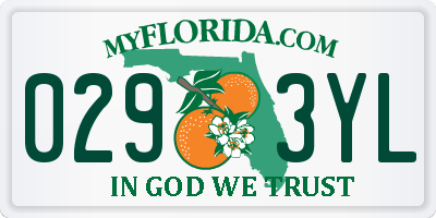 FL license plate 0293YL