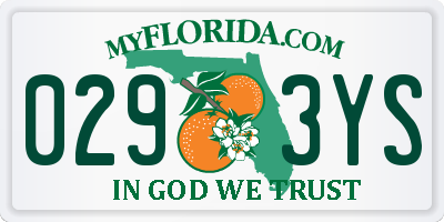 FL license plate 0293YS