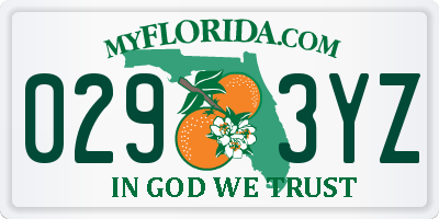 FL license plate 0293YZ