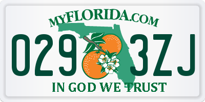 FL license plate 0293ZJ