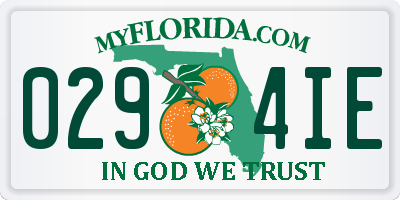 FL license plate 0294IE