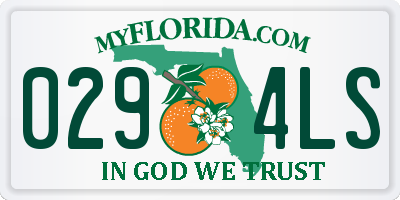 FL license plate 0294LS
