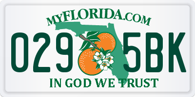 FL license plate 0295BK