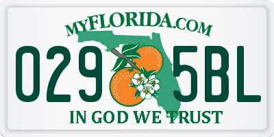 FL license plate 0295BL