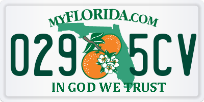 FL license plate 0295CV