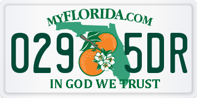 FL license plate 0295DR