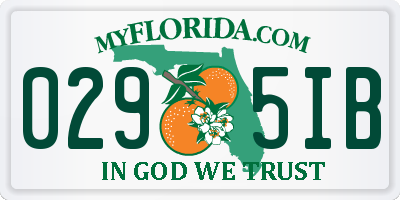 FL license plate 0295IB