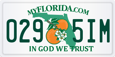 FL license plate 0295IM