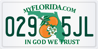 FL license plate 0295JL