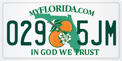 FL license plate 0295JM