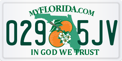 FL license plate 0295JV