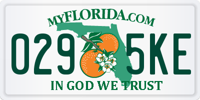 FL license plate 0295KE