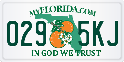 FL license plate 0295KJ