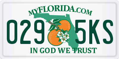 FL license plate 0295KS