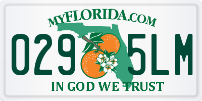 FL license plate 0295LM