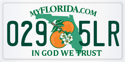 FL license plate 0295LR