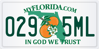 FL license plate 0295ML